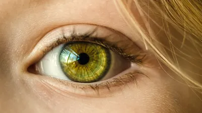 Рогівка ока — що це, будова, функції, захворювання | Блог | GlazGo
