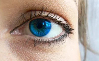 Бесплатные Девушка голубые глаза II стоковые фотографии | FreeImages