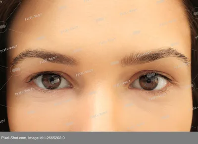 Глаз девушки карий стоковое изображение. изображение насчитывающей бобра -  26983649