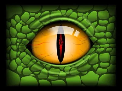Кровь из глаз • Анна Новиковская • Научная картинка дня на «Элементах» •  Герпетология