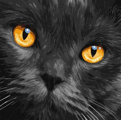 Кошка Киска Нала Глаза Кошки - Бесплатное фото на Pixabay - Pixabay