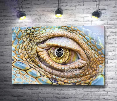 Глаза крокодила» — создано в Шедевруме
