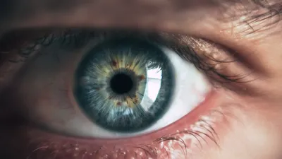 Роговица глаза на 3D-принтере: как это возможно и когда их будут  пересаживать людям — ЗдоровьеИнфо