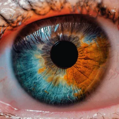 Мертвый глаз может успешно пройти сканирование радужной оболочки / Хабр
