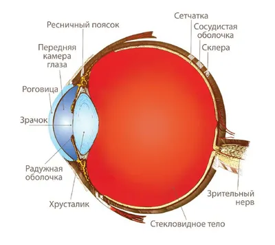 Разрыв сетчатки глаза - причины, симптомы, лечение