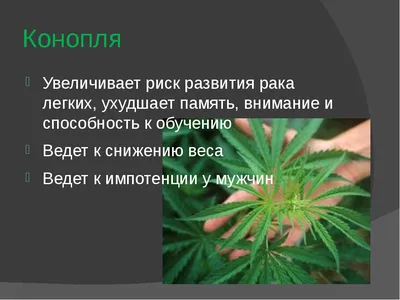 Что стало с глазами курильщика: vmenshov — LiveJournal - Page 2