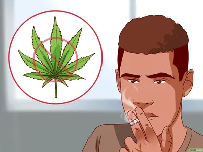 Курение травы: какие могут быть последствия для мужчин? — Официальный сайт  МО \"Хасавюртовский район\"