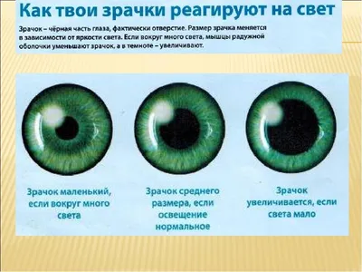 Глаза наркомана - зрачки у наркоманов, почему глаза красные?