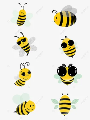 Медоносные пчёлы — 97 интересных фактов о насекомых