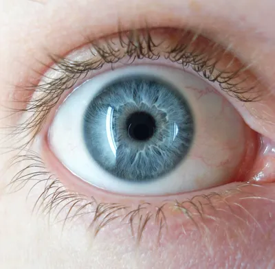 Как определить шизофрению по движению глаз: тесты и признаки? -  энциклопедия Ochkov.net