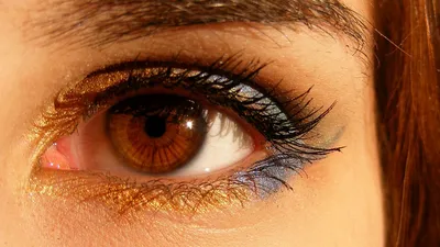 Купить Протезные линзы Слепые контактные линзы для глаз Коричневые  терапевтические линзы для слепых цветов Цветные контактные линзы Красота  линз | Joom