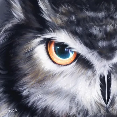 Beautiful Owl Artwork in Procreate