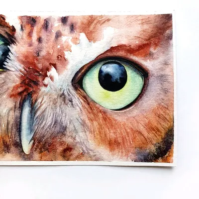 Шеврон глаза совы (Форма контурная. На липучке) Размер 10x5см  (ID#1859931741), цена: 80 ₴, купить на Prom.ua