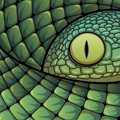Голова и глаз зеленой змеи стоковое изображение. изображение насчитывающей  цвет - 172935923