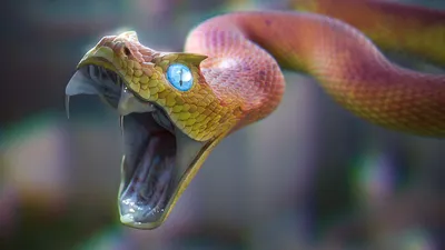 Две головы, два языка, четыре глаза… Редкая двуглавая гремучая змея найдена  в США | Новости Гомеля