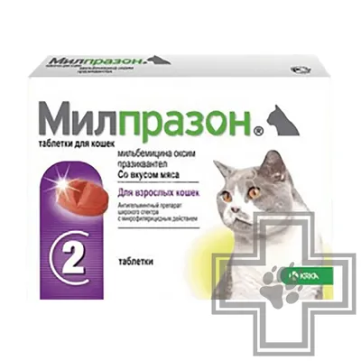 KRKA Selafort спот-он Средство от блох, клещей и глистов для кошек от 2,6  до 7,5 кг (7245420) - купить на Korm.com.ua