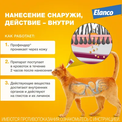 Таблетки Дронтал® от глистов для котят и кошек в Санкт-Петербурге