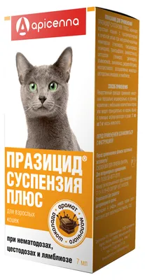 Суспензия Празител от глистов для кошек и котят - купить с доставкой по  выгодным ценам в интернет-магазине OZON (1116014318)