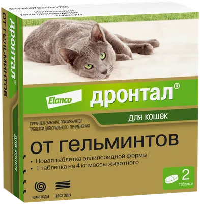 Супрамил (Supramil) эмульсия от глистов для котят и кошек до 2 кг, 5 мл  купить по низкой цене с доставкой - БиоСтайл
