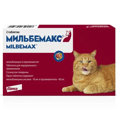 Милпразон, для котят и маленьких кошек до 2 кг, уп. 2 таблетки - Купить с  Доставкой по Москве
