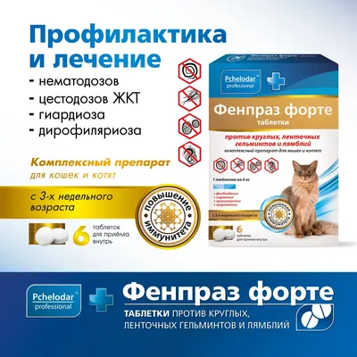 Купить антигельминтик Elanco Мильбемакс таблетки против глистов для котят  1-4 кг (2 таблетки), цены на Мегамаркет | Артикул: 100024217039