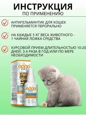 KRKA Selafort спот-он Средство от блох, клещей и глистов для кошек от 2,6  до 7,5 кг (7245420) - купить на Korm.com.ua