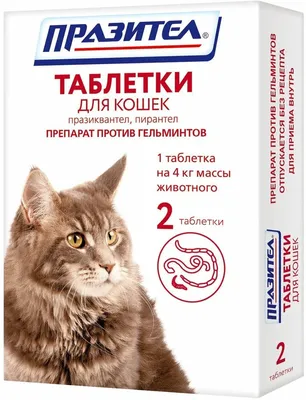 Апи-Сан ветеринарные препараты для кошек Празицид от глистов для котят:  суспензия плюс