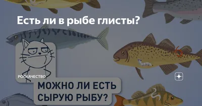 Рыба Скумбрия - «Глисты в скумбрии!!! Я думала со мной такого никогда не  случится. Ну, а также рецепт вкусной рыбы. » | отзывы