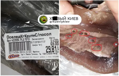 Киев новости - В сети показали фото испорченой рыбы, которую продают в  супермаркете - Апостроф
