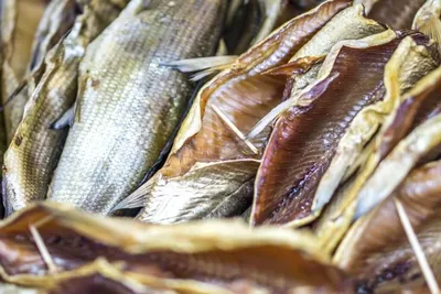Осторожно при покупке минтая, в рыбе обнаружены личинки червей – ДККБТУ  Нур-Султана