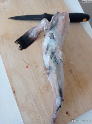 Красные черви в рыбе - вредны ли для человека рыбьи паразиты? |  FishingBY.com