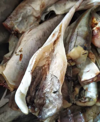 Рыба с червями | Пикабу