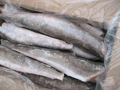 Бельчанин обнаружил в замороженной рыбе паразитов. Это опасно? Как быть в  такой ситуации? | СП - Новости Бельцы Молдова