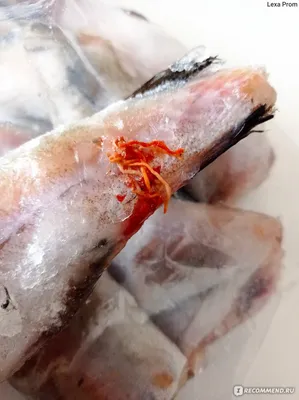 Снова живые гельминты в рыбе. На этот раз «отличилась» «Линия» —  LipetskMedia
