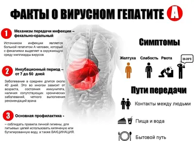 Вот паразиты: Какие инфекции могли оказаться виновниками трагедии  Костомарова