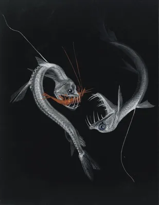 Иллюстрация Глубоководные рыбы в стиле компьютерная графика,