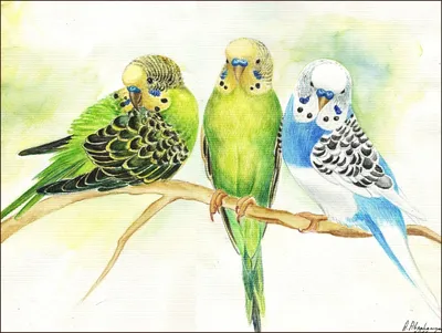 Клетка для птиц, Подвесной птичий домик с лестницей, гнездо для разведения  попугаев - купить с доставкой по выгодным ценам в интернет-магазине OZON  (1252269312)