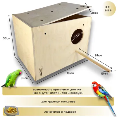Как обустроить идеальный дом для попугая - статья «Ветдоктор»