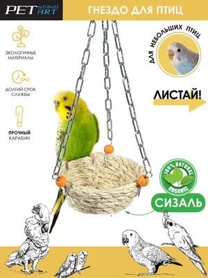 Гнездо для волнистых попугаев | Сравнить цены и купить на Prom.ua
