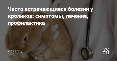 Почему у кролика гноятся и распухают глаза | ВКонтакте
