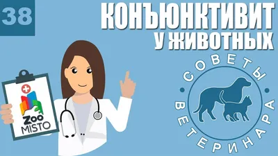 Ответы Mail.ru: что такое миксоматоз кроликов и как его лечить?