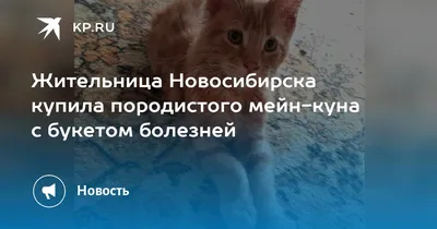 Отофлокс лечит отиты разной этиологии