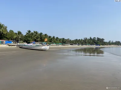 Radisson Blu Resort, Goa, Кавелоссим - обновленные цены 2024 года