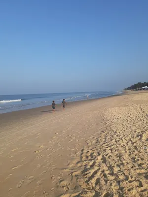 Отзыв о Пляж Кавелоссим (Индия, Южный Гоа) | Отличный отдых