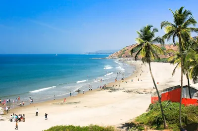 Отзывы туристов об отдыхе в Гоа, цены на курорты в стране Индии