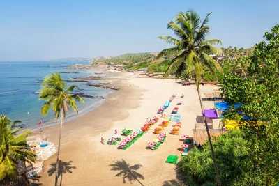 Южный Гоа. Что нужно знать об отдыхе в Южном Гоа 2024, Индия. Пляжи,  развлечения, достопримечательности