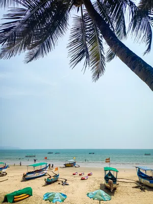 Пляж Морджим - Северный Гоа, отели и отзывы, фото туристов на карте Индии  2022.