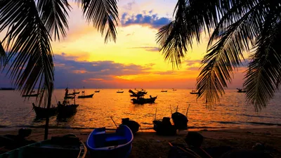 Гоа море индия (55 фото) - 55 фото