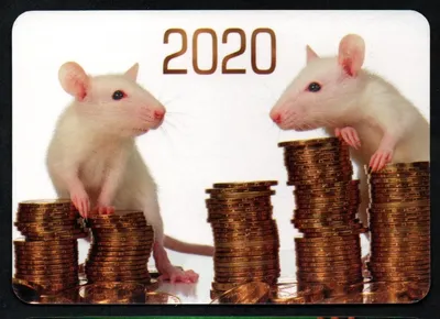 Подарочная инвестиционная монета на Новый год 2020 Год мыши (крысы) 2  доллара 2020 серебро 62,2 гр