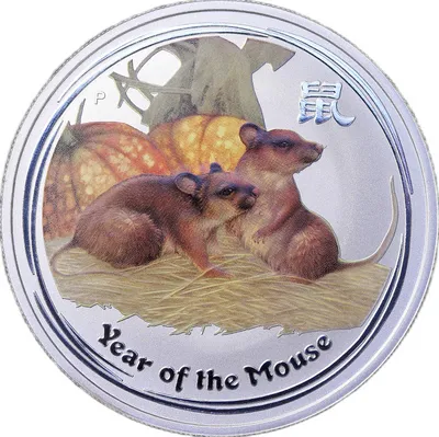 Подарочная инвестиционная монета Год мыши (крысы) высокий рельеф 1 доллар  2020 серебро 31,1 гр